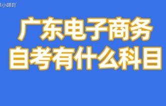 电子商务能报哪几种专业