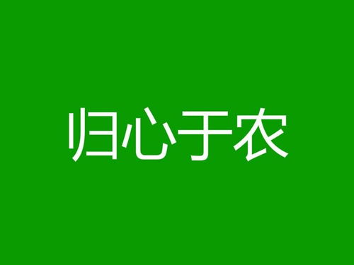 清远专业电子商务销售厂