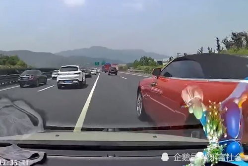 女子遭遇不幸，宠物猫咬伤腿部，伤口溃烂引发关注
