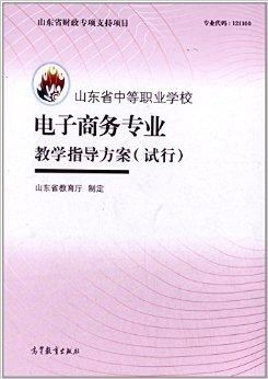 武大电子商务专业考研书