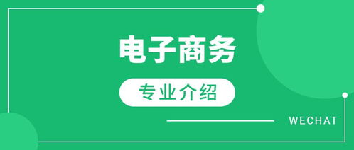 电子商务专业是干啥的呀